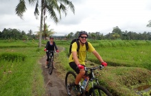 Cycling in Ubud - Monkey Forest