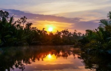 Bornéo : Forêt primaire et Peuple Dayak