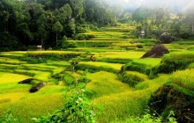 Batutumonga : vers les hauts plateaux de Toraja
