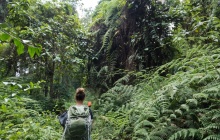 Ascension du volcan Tambora - Jour 1 : marche en pleine jungle