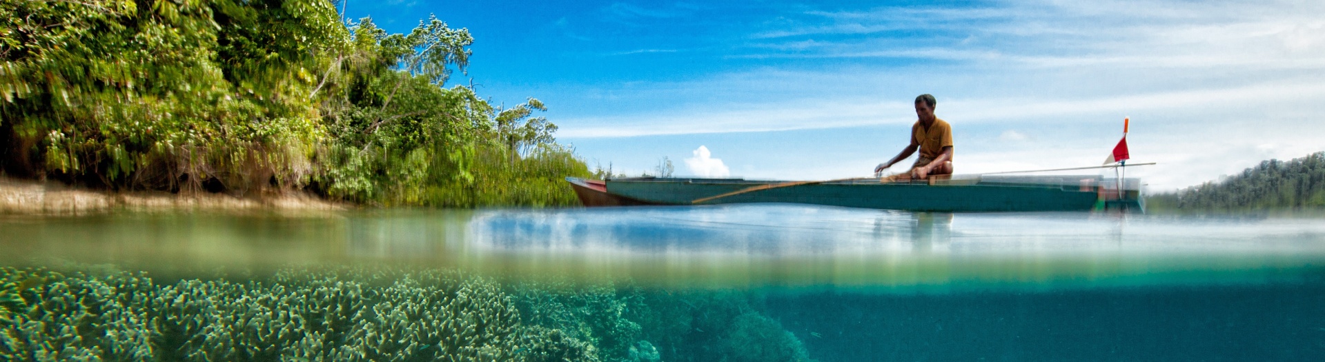 Sulawesi du Nord : Des requins Baleines aux tarsiers spectres