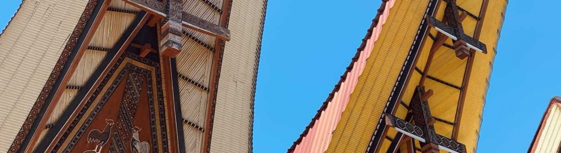 La Sulawesi : entre rituels et nature sauvage