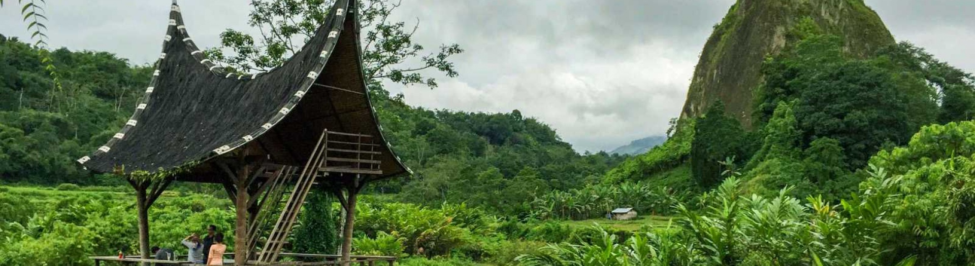 Sumatra : La renaissance des fleurs en liberté