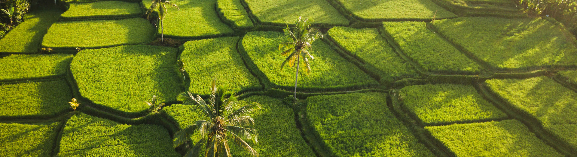 Lombok, indomptable par nature