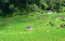 Toraja - Kandora - Randan Batu