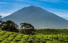 Jour 1 de l'ascension du Volcan Kerinci - en direction des nuages