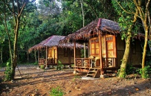 Le Rimba Ecolodge, une ONG pas comme les autres