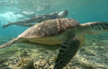 Sortie Snorkeling à Amed