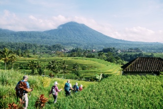 Bali - chemins de riz et sentiers de lave