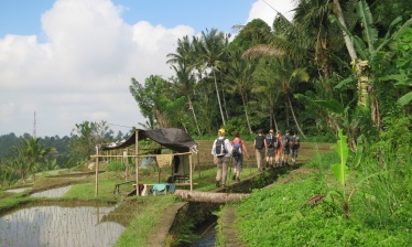 Family escape in Bali