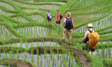 Bali - chemins de riz et sentiers de lave