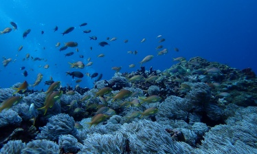 Volcans et fonds marins de Java à Bali en famille