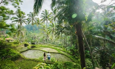 Lune de Miel : Aventures & Noces de Bambous à Bali