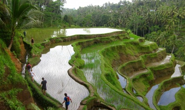 Bali : entre nature et culture
