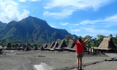 Transflores : volcanoes, villages and dragons