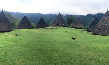 Transflores : volcanoes, villages and dragons